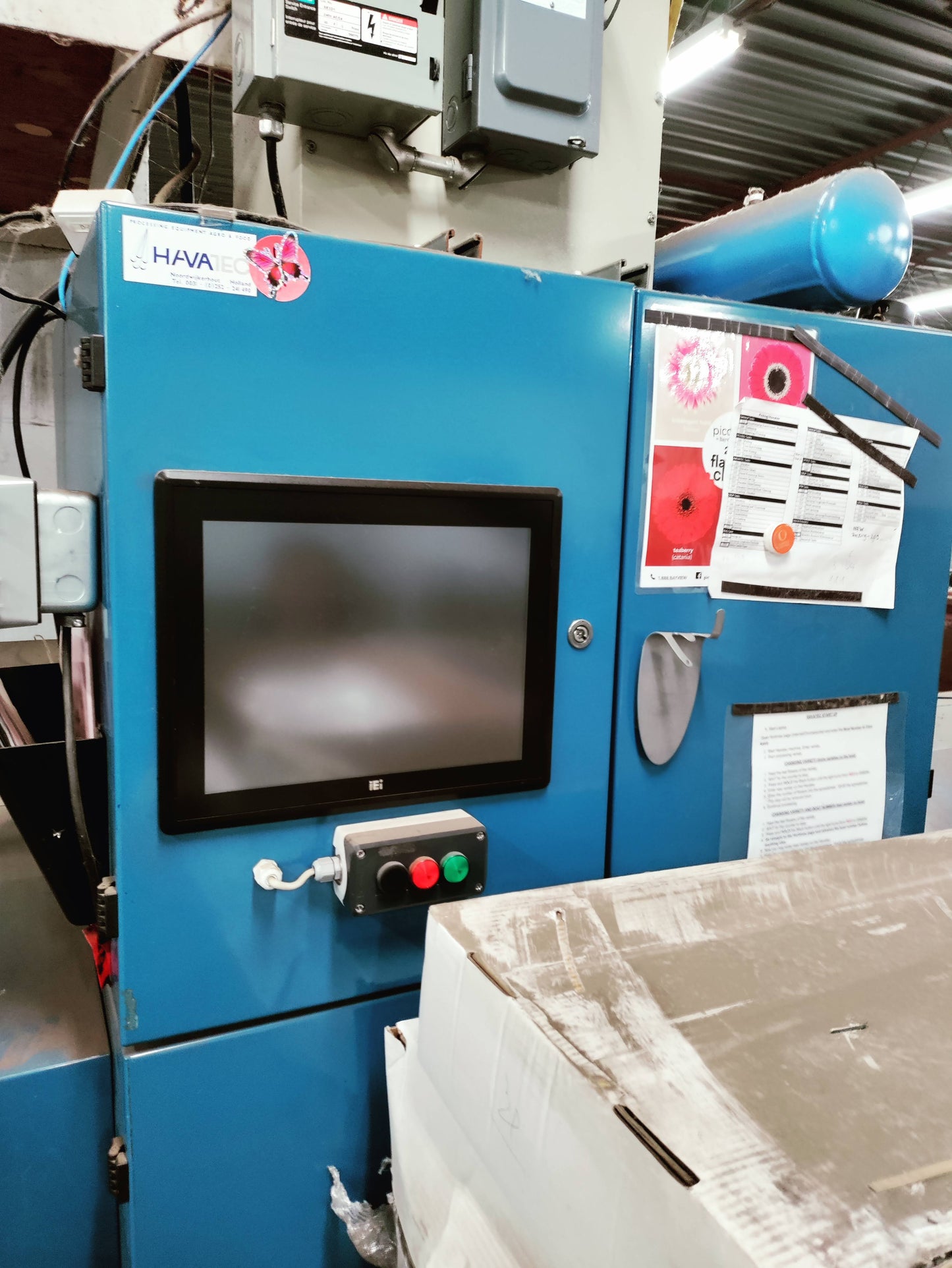 Havatec Gerbera Bunching Line