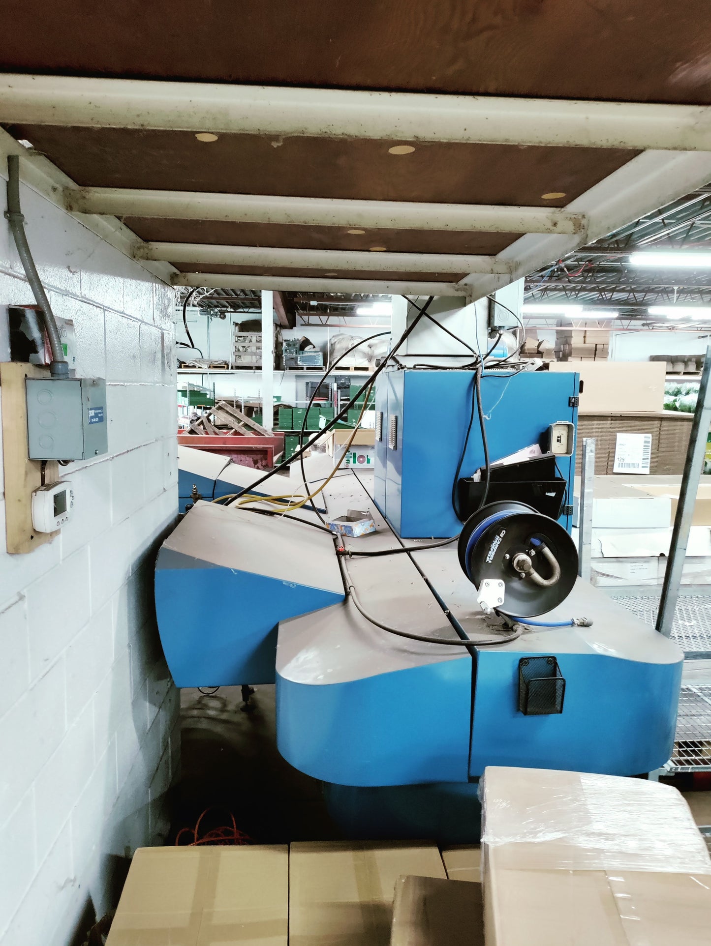 Havatec Gerbera Bunching Line