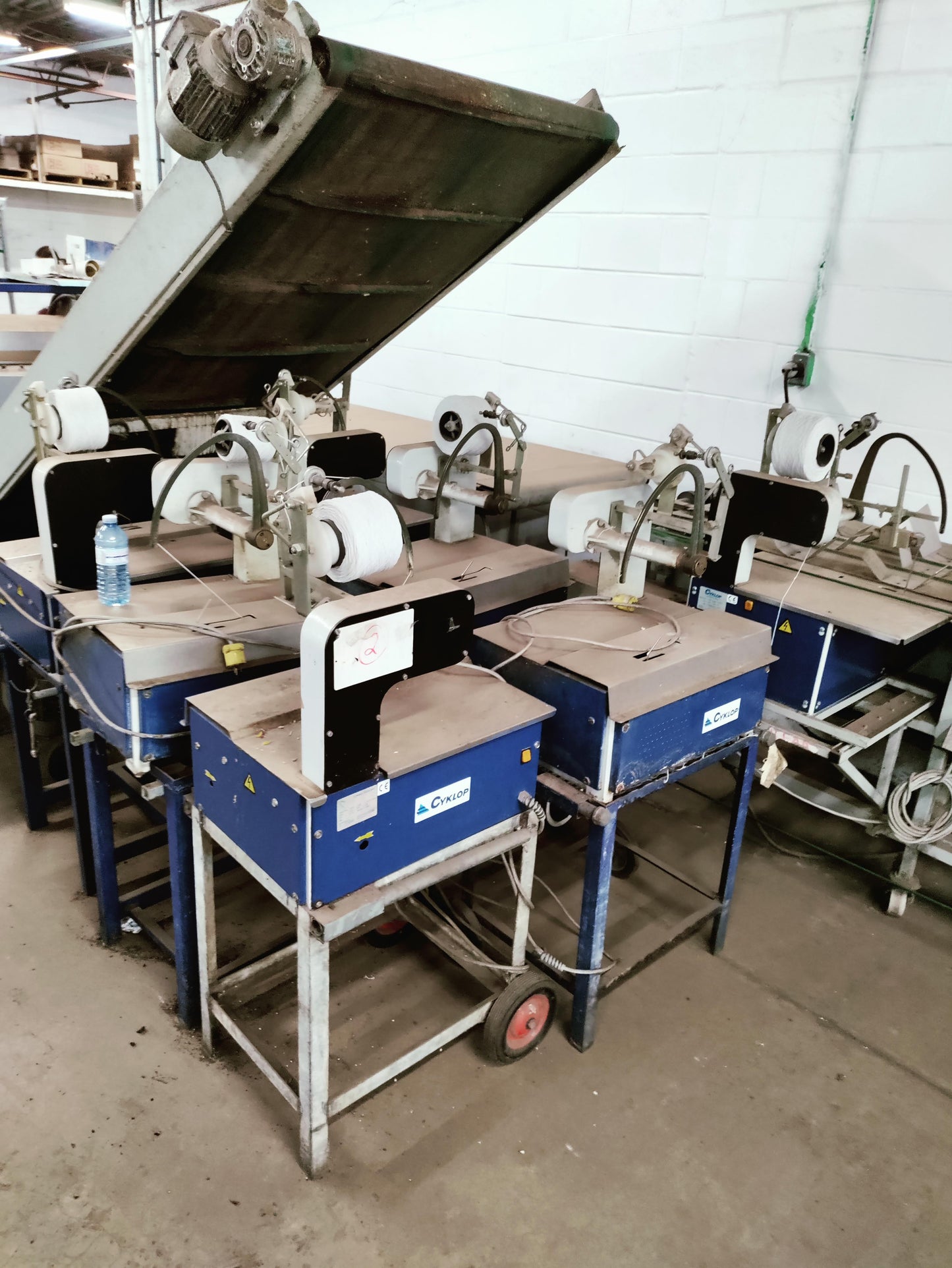 Havatec Gerbera Bunching Line