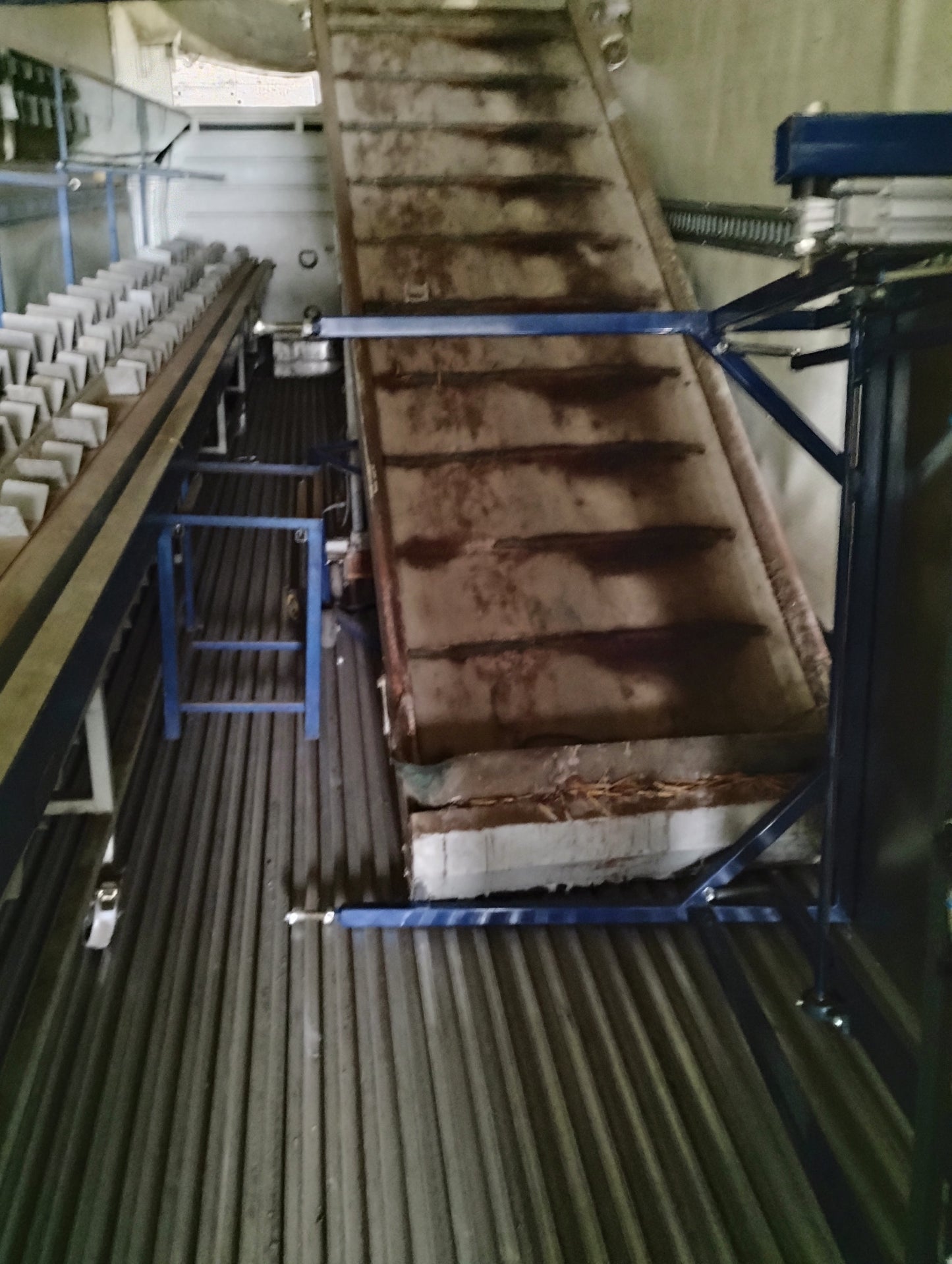 Bouquet Bunching Line