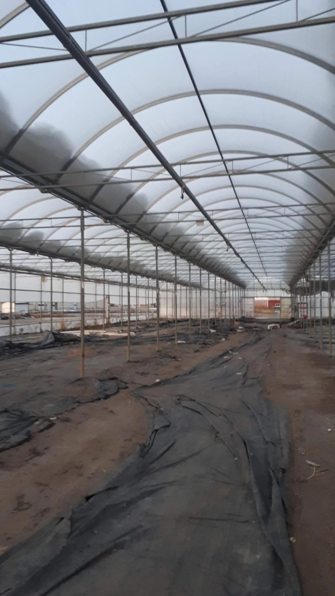 Greenhouse Structures (Used)
