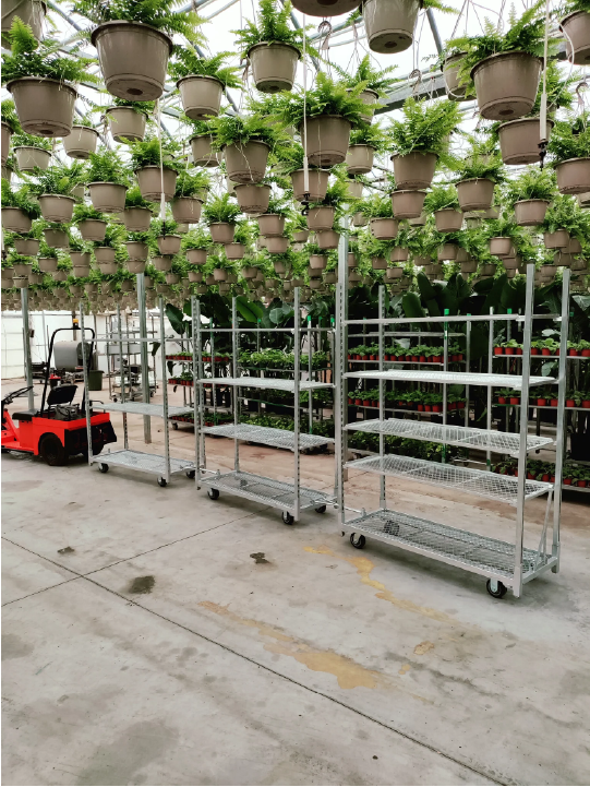 Blue Diamond Floral Carts - Used