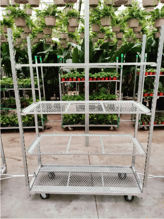 Blue Diamond - Premium Quality Floral Transport Carts