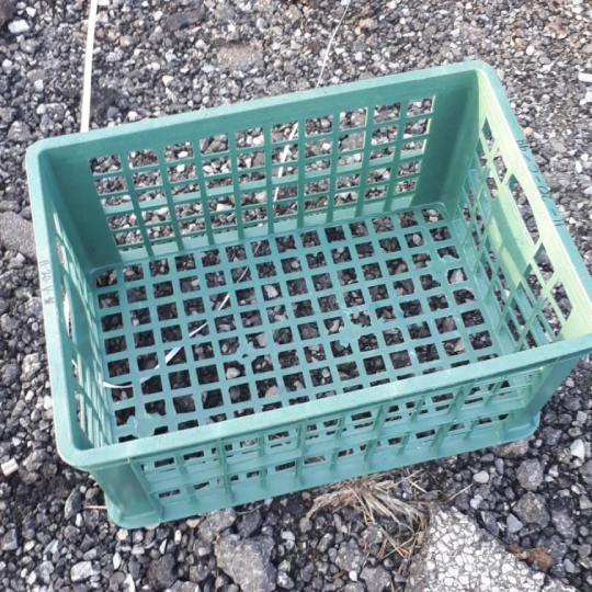 Plastic Picking Crates