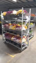 Load image into Gallery viewer, Blue Diamond Floral Transport Carts 24 x 67
